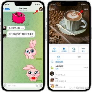 Telegram新功能!群组管理员如何设置管理群组成员发送媒体类型详细教学!