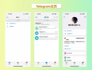 纸飞机不是Telegram?这两个不一样,别再被骗了!