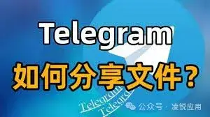Telegram可以发多大文件？ 
