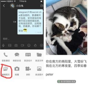 不需账号即可登录 Telegram发布博客工具Telegraph