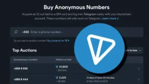 Telegram的加密布局:TON及其生态发展潜力