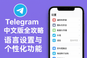 Telegram中文版全攻略：语言设置、个性化功能和隐私保护技巧，轻松定制你的专属聊天体验