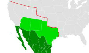 telegram文章 探索电报的无限魅力：安全、多样与活力的社交平台