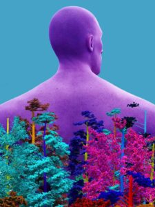 电报汉化版：融合文化与科技，便捷交流新选择