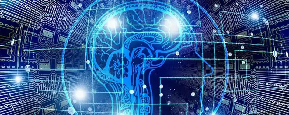 Telegram 机器人能完成哪些任务？详细解析