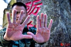 Telegram 在大陆的普及程度、匿名性与隐私保护面临的挑战