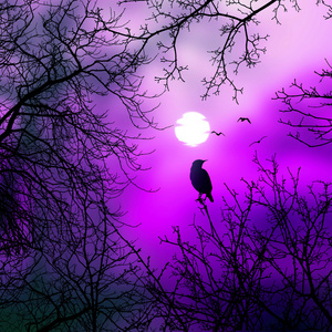 Telegram 语音功能：创新通信方式，丰富人际交往体验