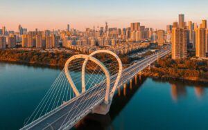 TG 中文版：情感交融之所，文化交流之桥