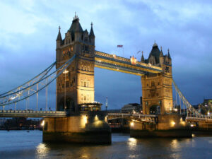 TG 中文版：情感交融之所，文化交流之桥