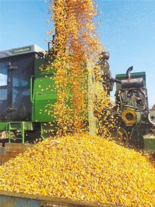 电报·中国版：融合科技与民族情感的独特社交媒体平台