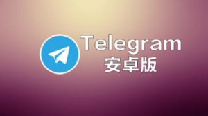 电报群 APP：通讯创新、社交革命与安全保障的完美融合