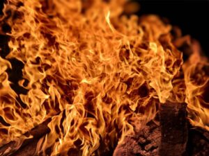 tg官网 TG 官网：神秘的数字化岛屿，丰富资源与卓越用户体验等你来探索