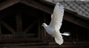 电报官网下载 电报:传统与现代融合的通信瑰宝,安全性卓越,为何不选?