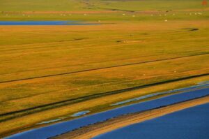 电报下载 电报应用：神秘怀旧与全新通讯领域的魅力探索之旅